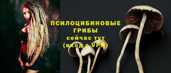 PSILOCYBIN Богородицк