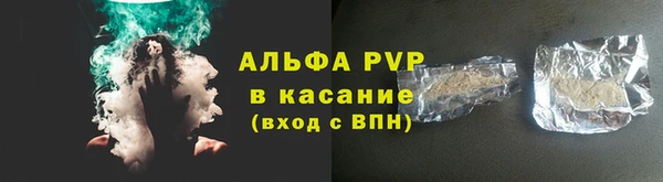 PSILOCYBIN Богородицк