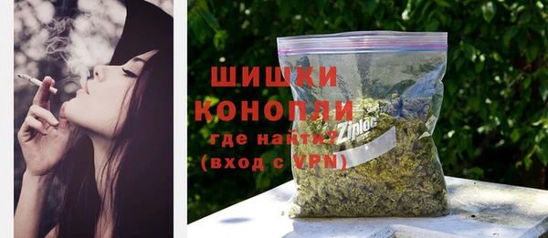 PSILOCYBIN Богородицк