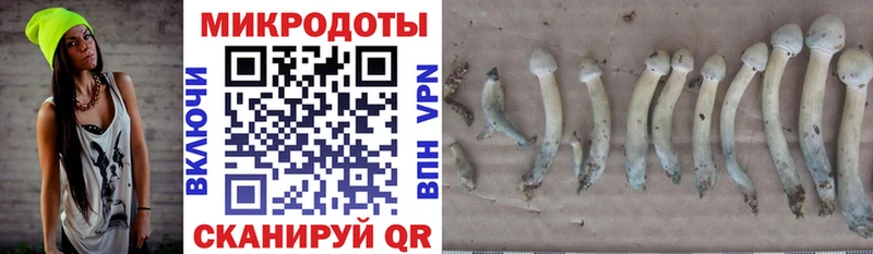 Псилоцибиновые грибы Magic Shrooms  цена наркотик  Костерёво 